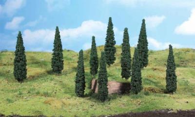 Cypresses (κυπαρισια)