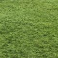 Grass mat 1L