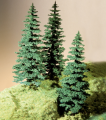 Evergreens 19 cm